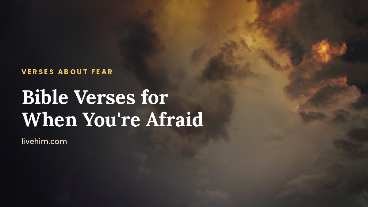 Bible Verses About Fear: 20+ Scriptures for When You’re Afraid