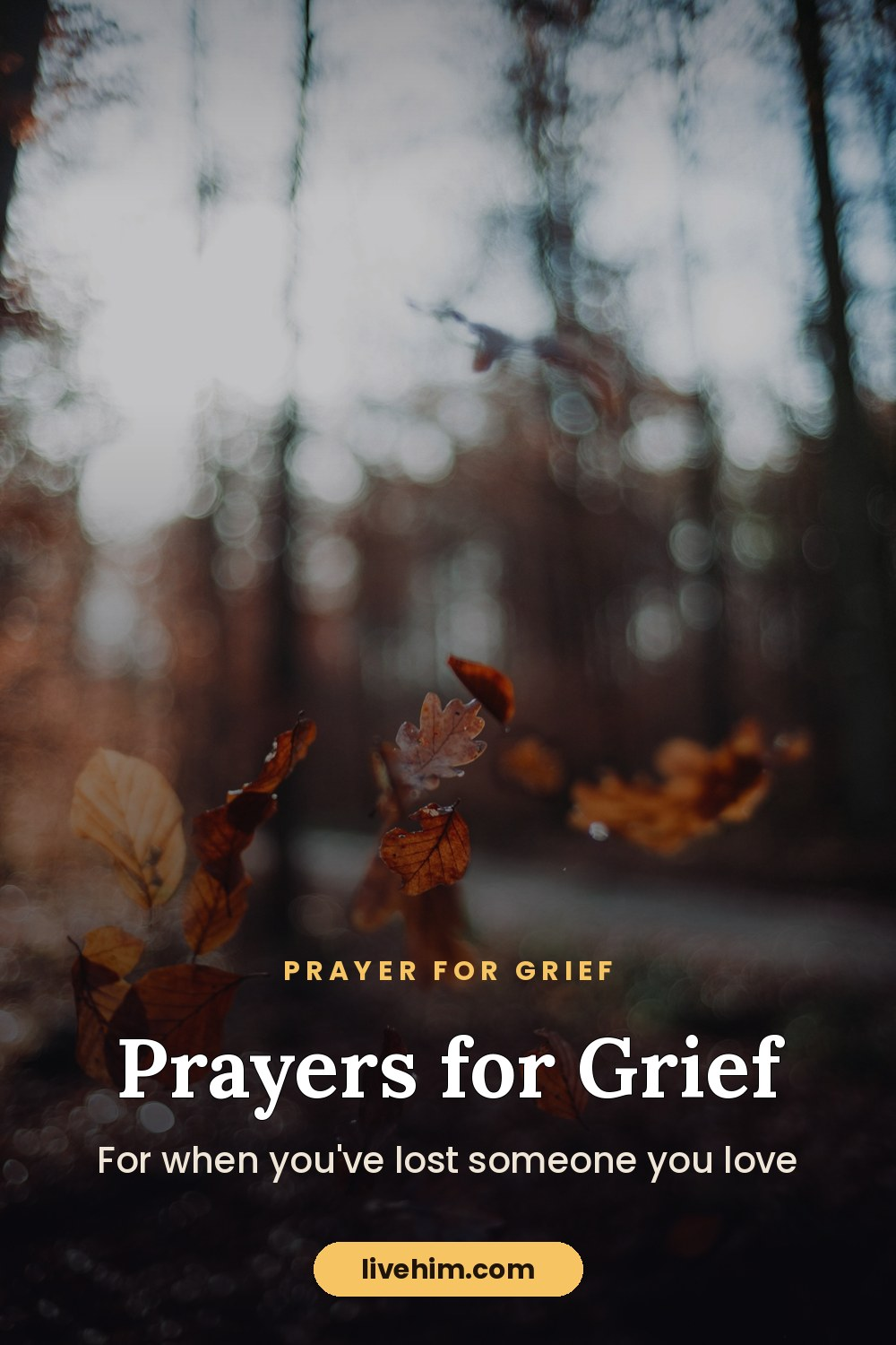 Prayer for Grief: Comfort When You've Lost Someone You Love