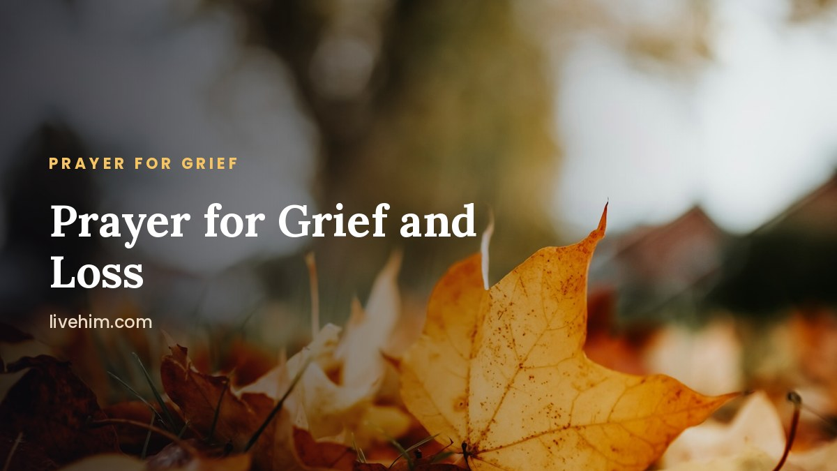 Prayer for Grief: Comfort When You've Lost Someone You Love